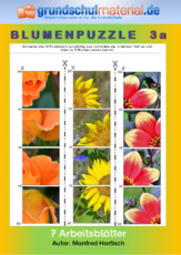 Blumenpuzzle_3a.pdf